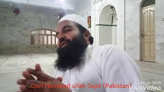 Qari Hammad ullah Sajid