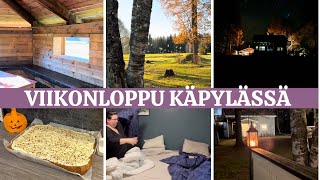 PORKKANAPIIRAKKAA, GRILLIKOTAAN IKKUNOITA JA MUITA HOMMIA….