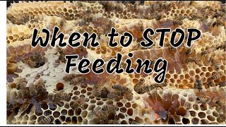 When to STOP Feeding in the Summer