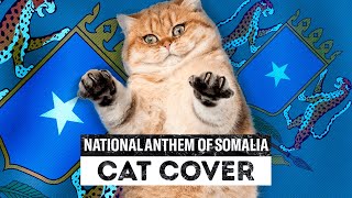 소말리아의 국가, National Anthem of Somalia -어느 나라의 국기든- (Qolobaa Calankeed) (Cat Piano Cover)