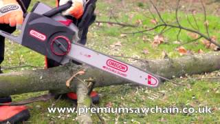 Oregon CS300 Cordless chainsaw