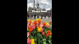 Amsterdam, conheça a Praça Dam | Monumentos, Prédios Históricos da Holanda | #damsquare #Netherlands