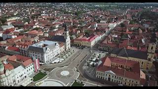 Street Coffee Roasters Oradea