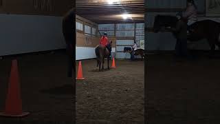 riding Freddie bareback part 2 #dressage #shortvideos #horses #showjumping #jumping #equestrian