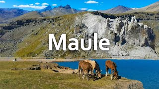 Most Underrated Region in Chile 🐎 | VII Maule Region, Talca, Constitución 🇨🇱