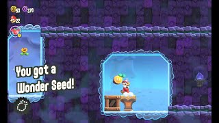 Super Mario Bros Wonder - Break Time!: Treasure Vault - 100 % Walkthrough