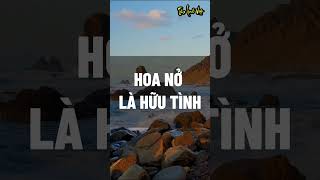 Hoa nở là hữu tình hoa rơi là vô ý #baihoccuocsong