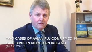 UFU comment on avian flu