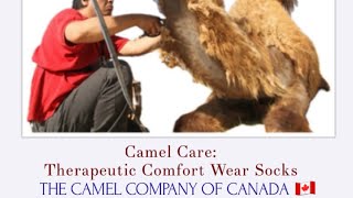 Canada’s First Annual Camel Care Run