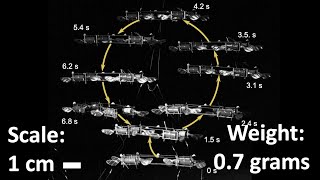 Robust Trajectory Tracking on Insect-Scale Soft-Actuated Aerial Robots with Deep-Learned Tube MPC