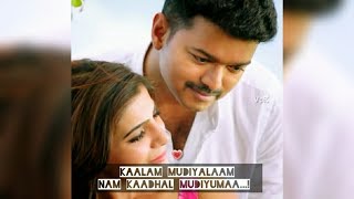 Theri Vijay love whatsapp status Tamil | En Jeevan song | Love forever | VpK