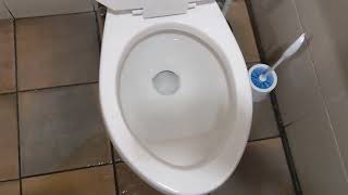 revisit of the 2005 American standard Canadian Cadet toilet