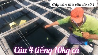 Cần thủ câu cá dò số 1, nhai ốc bưu làm mồi câu.