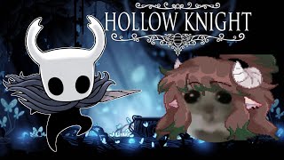 Snowy plays Hollow Knight