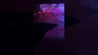 Pipilotti Rist: Electric Idyll at  Fire Station Museum