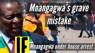 🟨 Mnangagwa arrested??? before Congress This September 2024