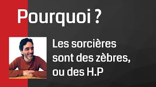 Pourquoi les sorcières sont des zèbres des H.P