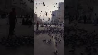 اجمل حاله وات ساب الهي اني وجئتك اشتكي الم 😔💔