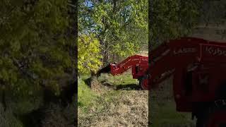 Popping up trees with the stump bucket.  Keeping the fence line clean.