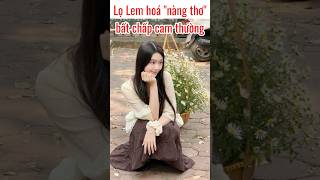 Lọ Lem con gái Quyền Linh hoá nàng thơ bất chấp cam thường #lọlem #quyenlinh #nàngthơ #tintuc #short