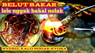 umpan jitu belut bakar || umpan legendaris di galatama lele