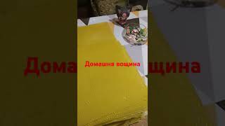 Виготовили домашню вощину #бджоли # вощина #пасічник #beekeeping #bee #honey #бджоляр