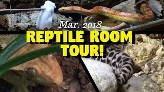 REPTILE ROOM TOUR March 2018