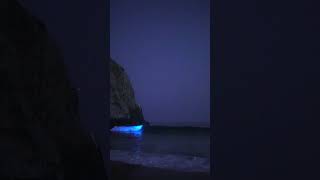 Bioluminescence of the ocean in California, USA #beaches #waves #shorts