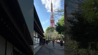 Beautiful zozo ji temple #tokyo #beautiful #japan #tokyotower