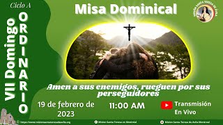 VII Domingo - Amen a sus enemigos - 19 febrero 2023. P. Carlos Ariel Betancourth, O.P.