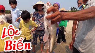 Lần đầu tiên bắt được cá trê sống ở biển nước mặn | Một ngày lênh đênh trên biển cùng ngư dân