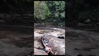 Melewati Arus Deras Sungai Kalimantan #youtubeshorts #pedalamankalimantan #sungaikalimantan #shorts