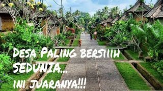 Penglipuran Village Bali #droneview