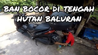 XMAX Touring Jakarta - Bali PP | BAN BOCOR DI TENGAH HUTAN BALURAN!