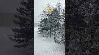 Canada's Winter Wonderland | Winters in Canada #shorts | Post Malone Sunflower