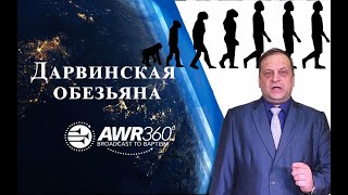 Дарвинская обезьяна. Почему я верю?