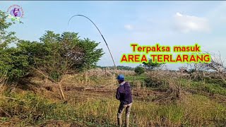 LUAR BIASA‼️Terpaksa getek di spot terlarang ternyata BABON SEMUA ISINYA