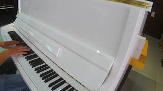 Piano Bestchord 116 Chippendale