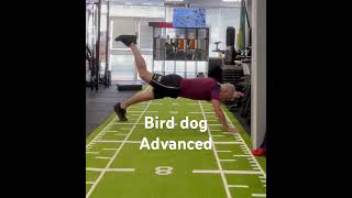 Bird dog advanced. Core.