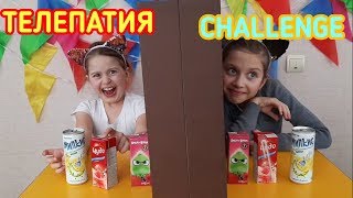 Телепатия челлендж на двоих  Вкусняшки Twin Telepathy MYSTERY FOOD ChallengeЭндрю Тайм