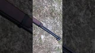 Henry .22 Lever Action Review