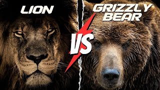 Lion vs Grizzly Bear The BIGGEST Showdown EVER