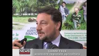 FAVA : MANTOVA HA PERSO IL TRENO PER EXPO 2015