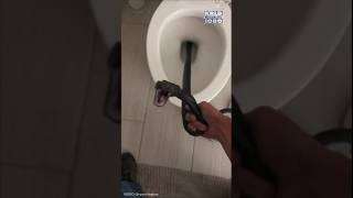 Woman finds SNAKE slithering up her toilet 🐍