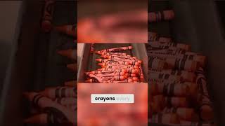 The Fascinating Process of Crayon Manufacturing  From Molding to Inspection