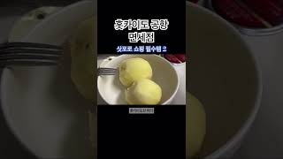 삿포로 쇼핑 추천 2