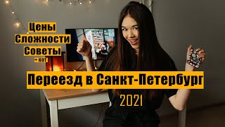 Переезд в СПБ с Дальнего Востока с котом. Сколько стоит, трудности переезда, советы