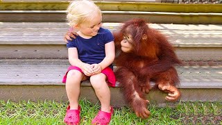 Divertidos monos mascotas jugando con niños y bebés