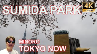 [4K] Sumida Park 03/19/2022 | 隅田公園 TOKYO NOW