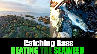 Catching Bass   Beating The Seaweed